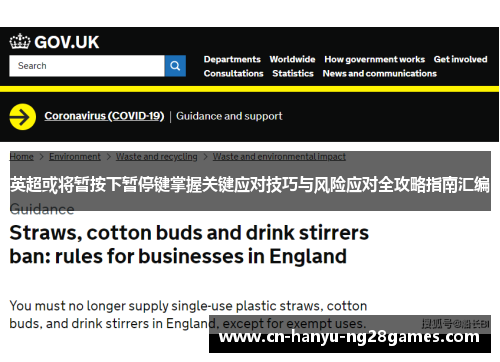 英超或将暂按下暂停键掌握关键应对技巧与风险应对全攻略指南汇编