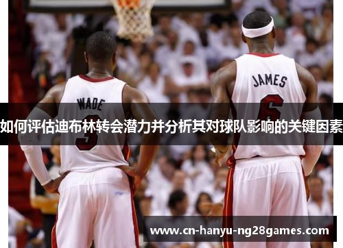 如何评估迪布林转会潜力并分析其对球队影响的关键因素